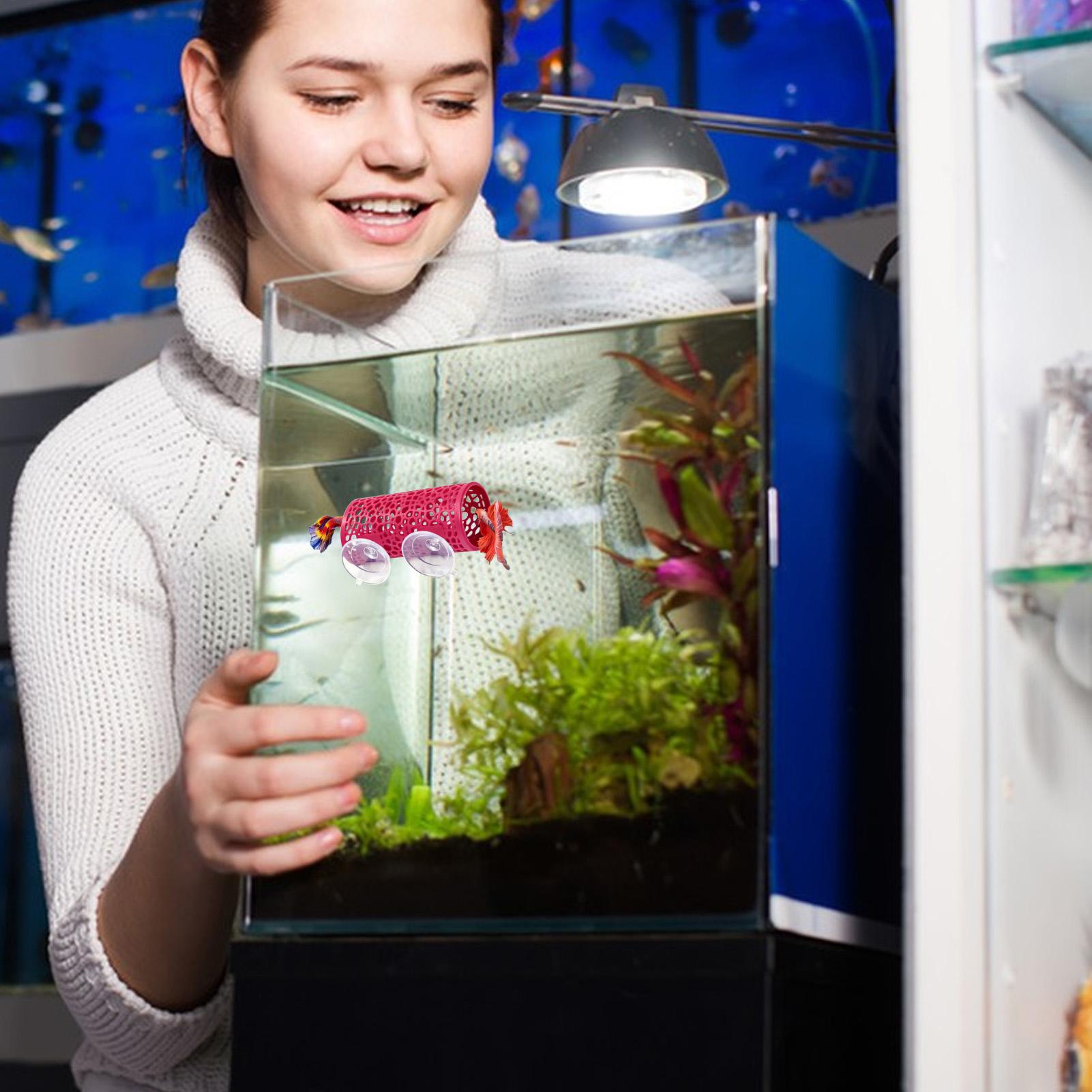 Betta Fish Tank - ベタの生息地、休憩用シェルター、装飾用魚トンネルおもちゃ、水槽用吸盤付き小型安全チューブシェルター、水生ペット、シクリッド用