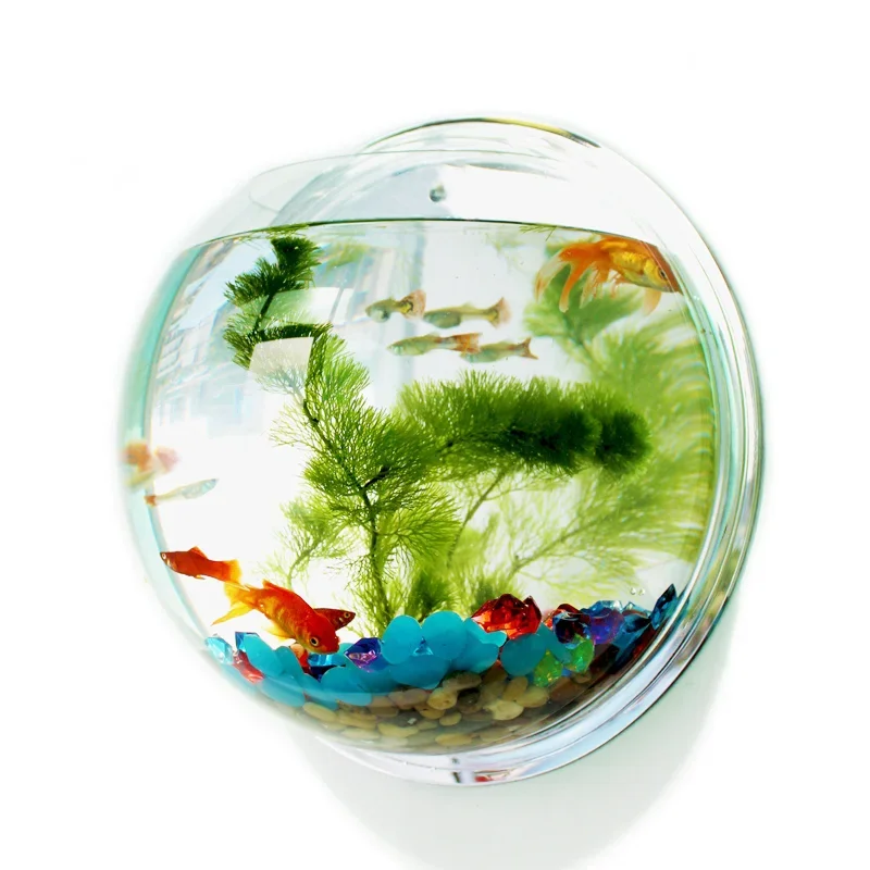 Betta Fish Tank - Pinsjar アクリル金魚鉢壁掛け水族館タンク水生ペット用品ペット製品壁掛け水槽ベタ魚用