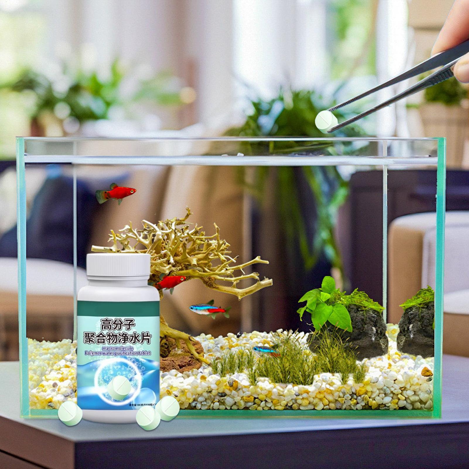 魚の水槽藻類除去剤、水槽浄化タブレット、噴水、ベタ、エビ、カ - Betta Fish Tank のレビューと価格