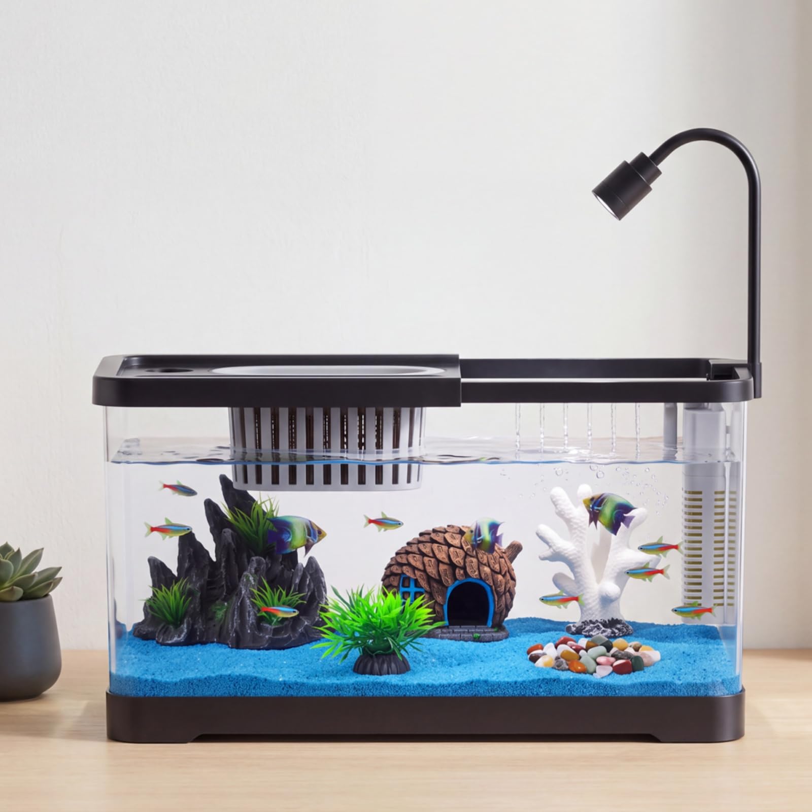 金魚、エビ、ベタ、ヤドカリ用のフィルターとライト付きプラスチ - Betta Fish Tank のレビューと価格