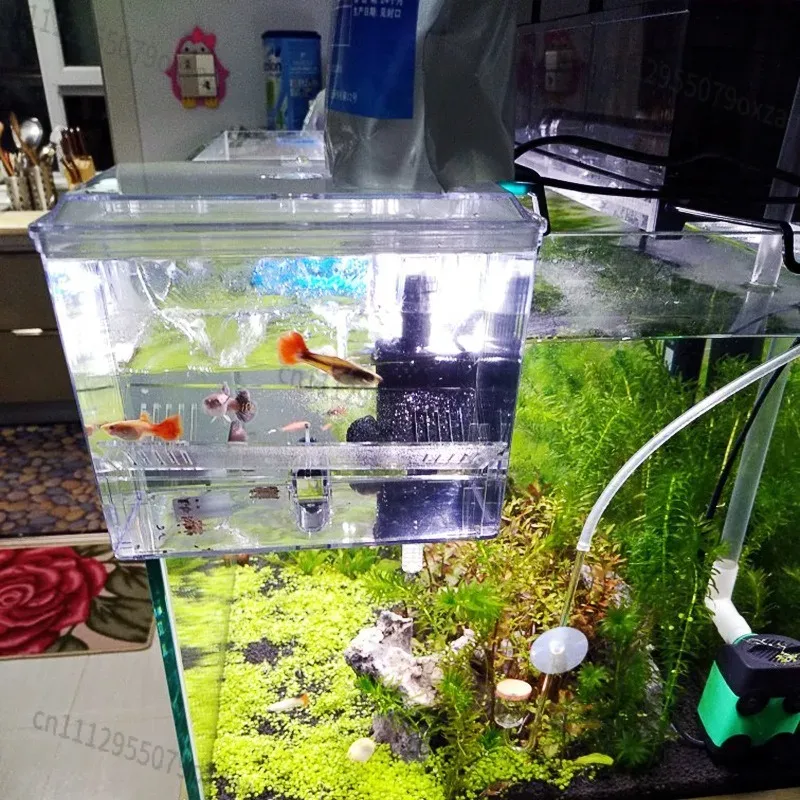 220V対応の水槽用吊り下げ式繁殖用隔離箱。内蔵ポンプ付き。 - Aquarium Pump のレビューと価格