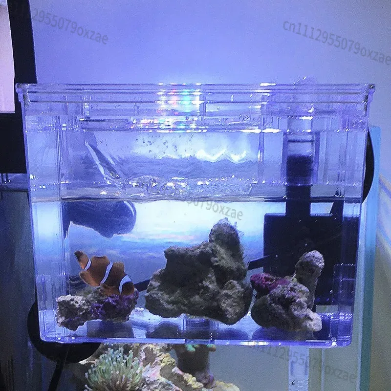 220V対応の水槽用吊り下げ式繁殖用隔離箱。内蔵ポンプ付き。 - Aquarium Pump のレビューと価格