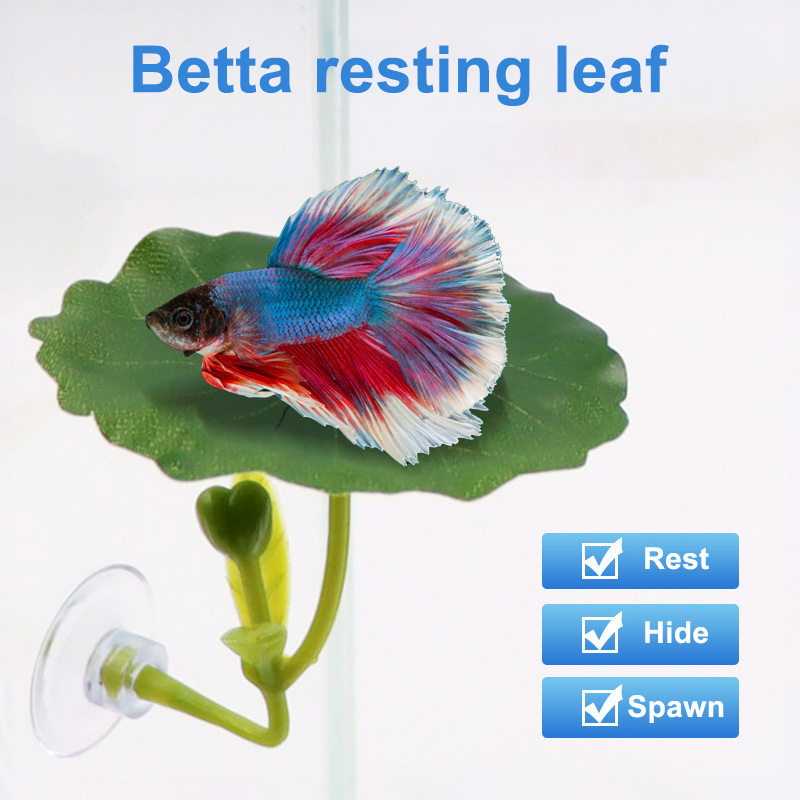 (Ce14)1/5個入り、緑色の葉っぱのハンモック。ベタ魚用 - Betta Fish Tank のレビューと価格