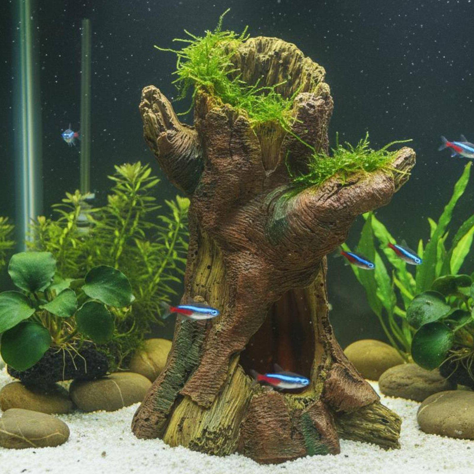 水槽の景観装飾、水槽デコレーション、樹脂製の木の幹のシェルタ - Aquarium Decor のレビューと価格