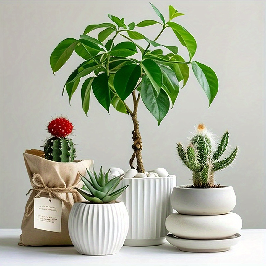 200/400g ホワイト高研磨天然玉石 2-3cm 中庭景 - Aquarium Plants のレビューと価格