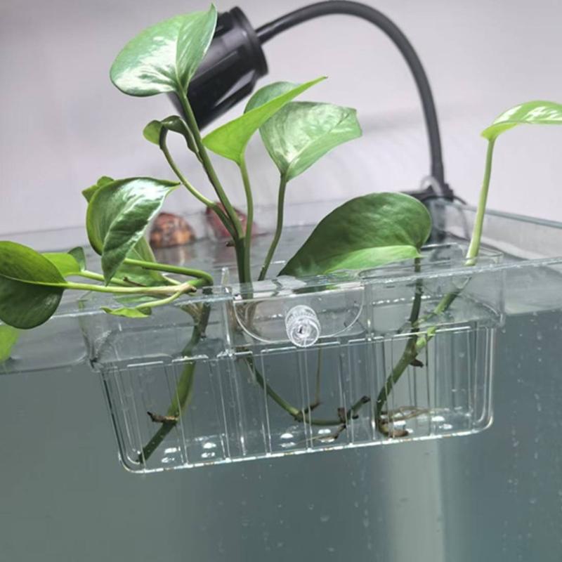 水耕栽培用植物バスケット 食品グレード 水生植物ホルダー 1 - Aquarium Decor のレビューと価格