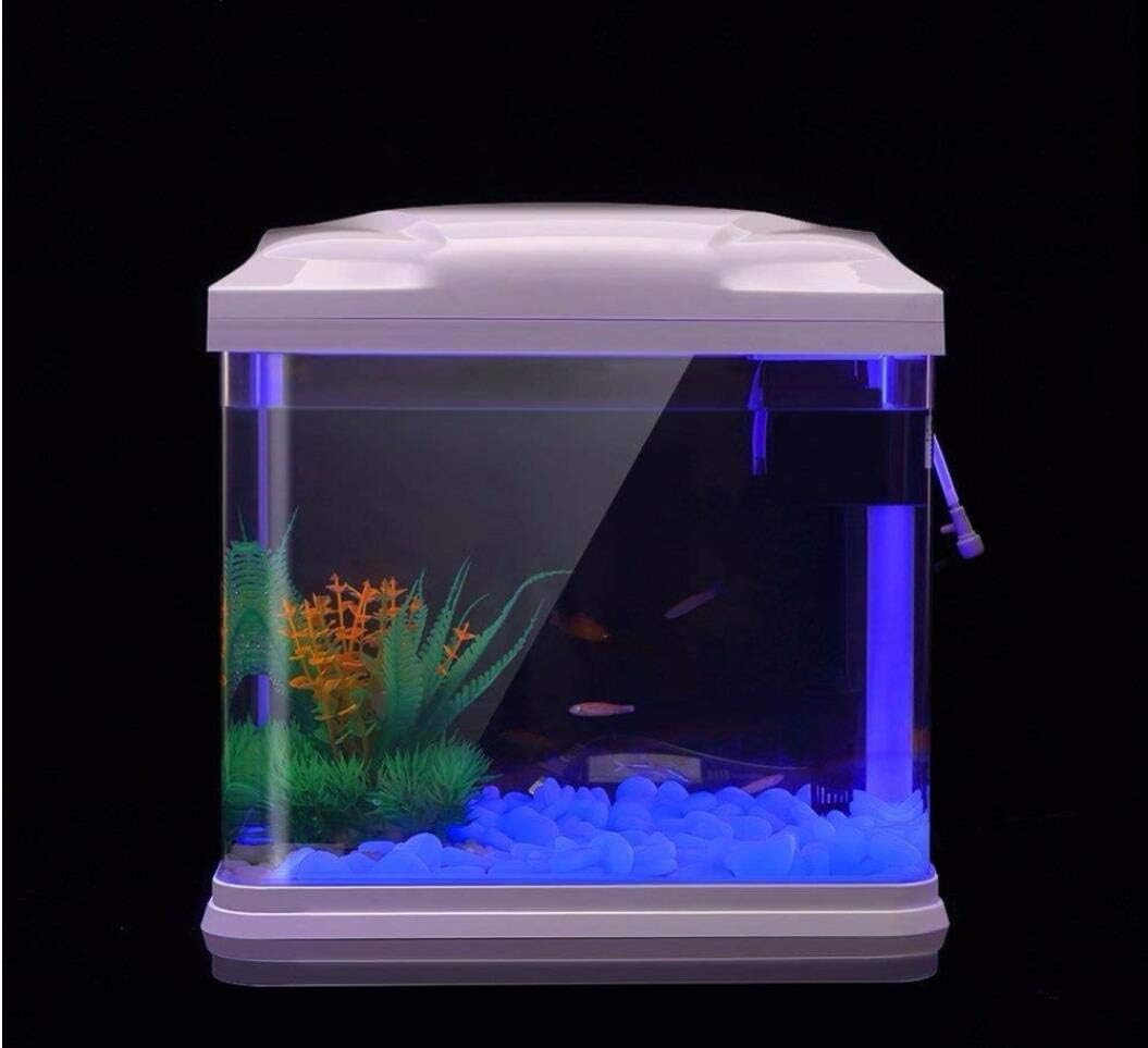 水槽岩グローブルー小石庭用水槽水族館植木鉢盆栽歩道私道 - Fish Tank Gravel のレビューと価格
