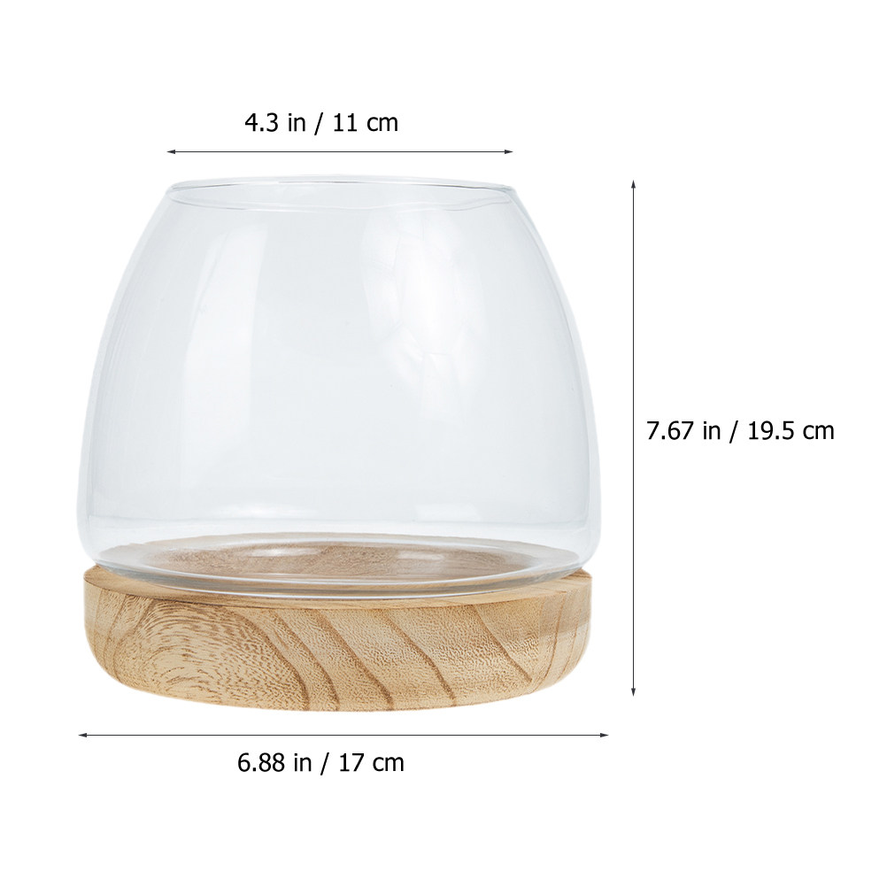 1個入り 透明ガラス製 水耕栽培用テラリウム 木製スタンド付 - Aquarium Fish Betta のレビューと価格